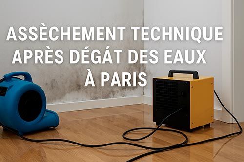 Assèchement technique après un dégât des eaux à Paris